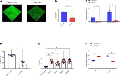 Survival characteristics and transcriptome profiling reveal the adaptive response of the Brucella melitensis 16M biofilm to osmotic stress